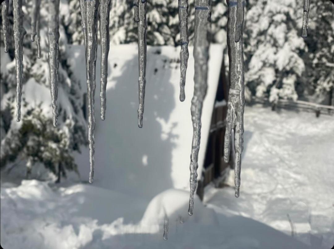 Vikendica Tarsko Srce S Villa Mitrovac Eksteriør billede