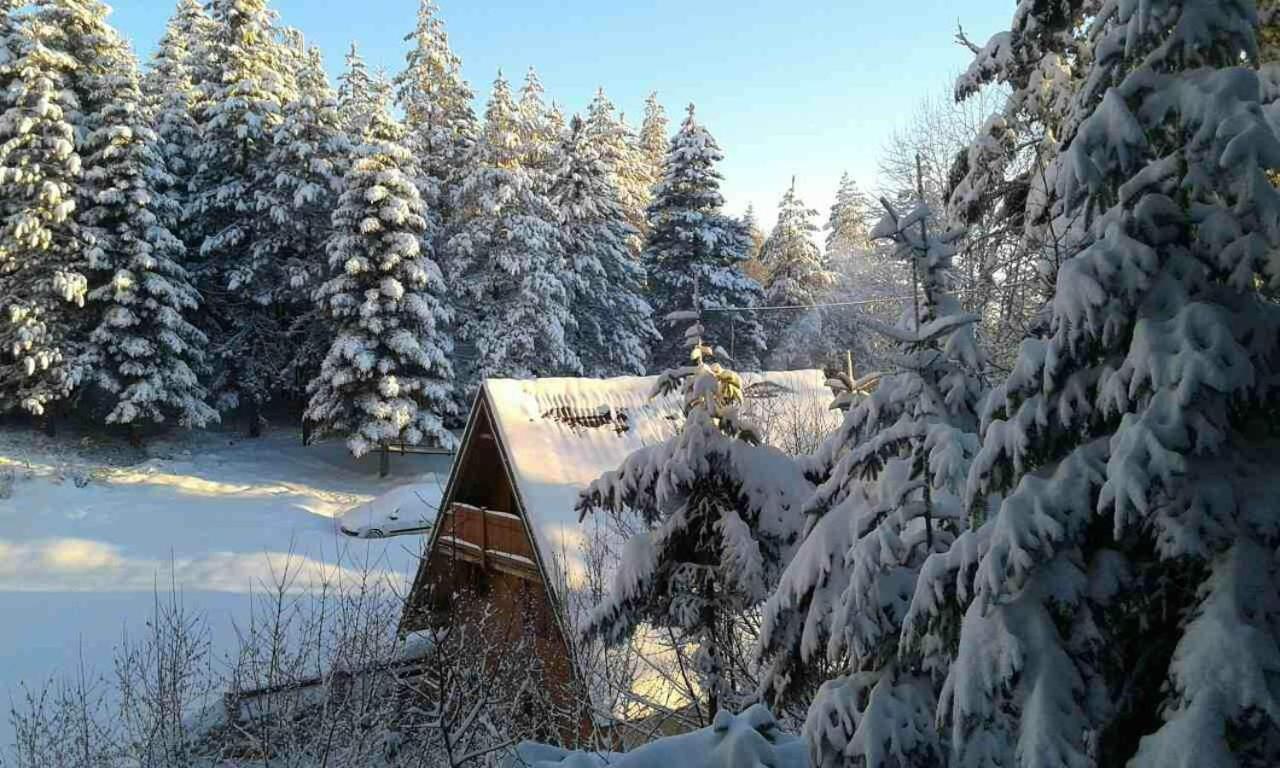 Vikendica Tarsko Srce S Villa Mitrovac Eksteriør billede